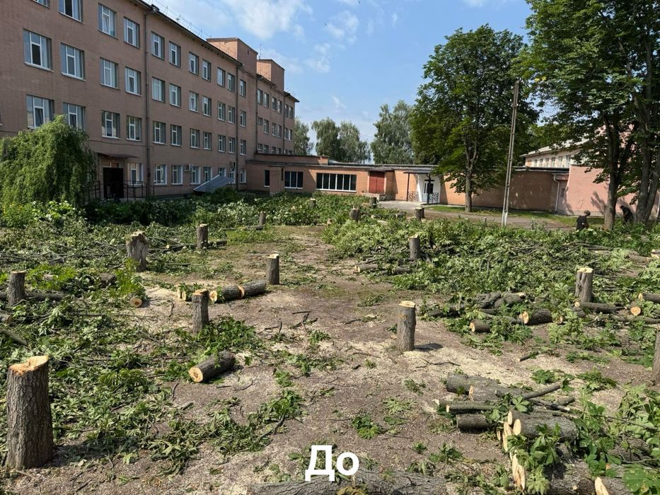 Укладання тротуарної плитки
