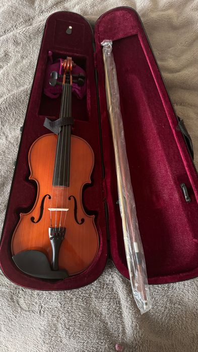 Скрипка в ідеальному стані