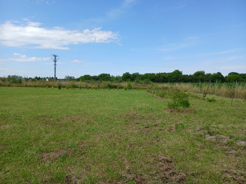 Działka budowlana Koniaczów 20ar