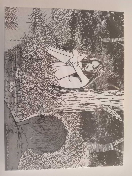 Quadro junji ito TOMIE - EDIÇAO LIMITADA