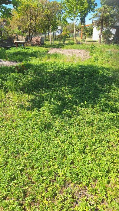 Na sprzedaż Działka ROD