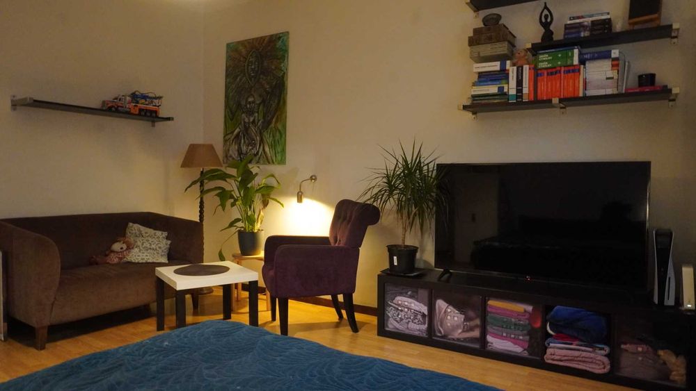 Mieszkanie / Duża kawalerka z kuchnią w aneksie przy parku (Łękno, Szczecin) - Widok 6