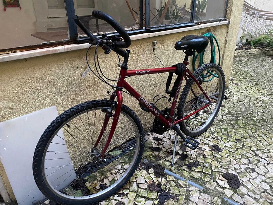Bicicleta Shimano Birrodas