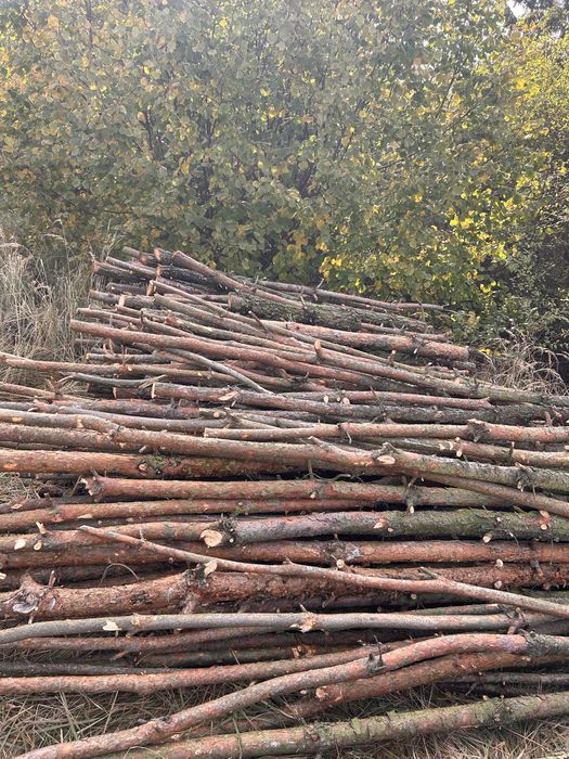 Drewno na opał SOSNA