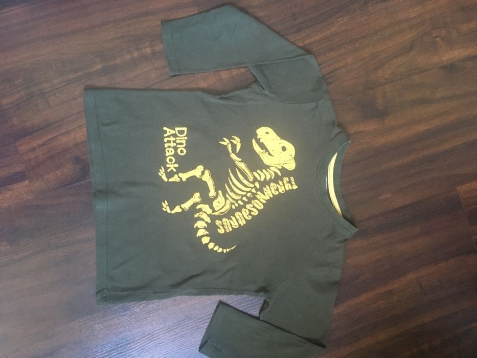 Bluzka, koszulka chłopięca r. 98/104. Cena za całość.