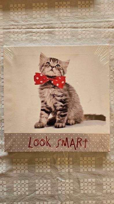 Quadros para decoração