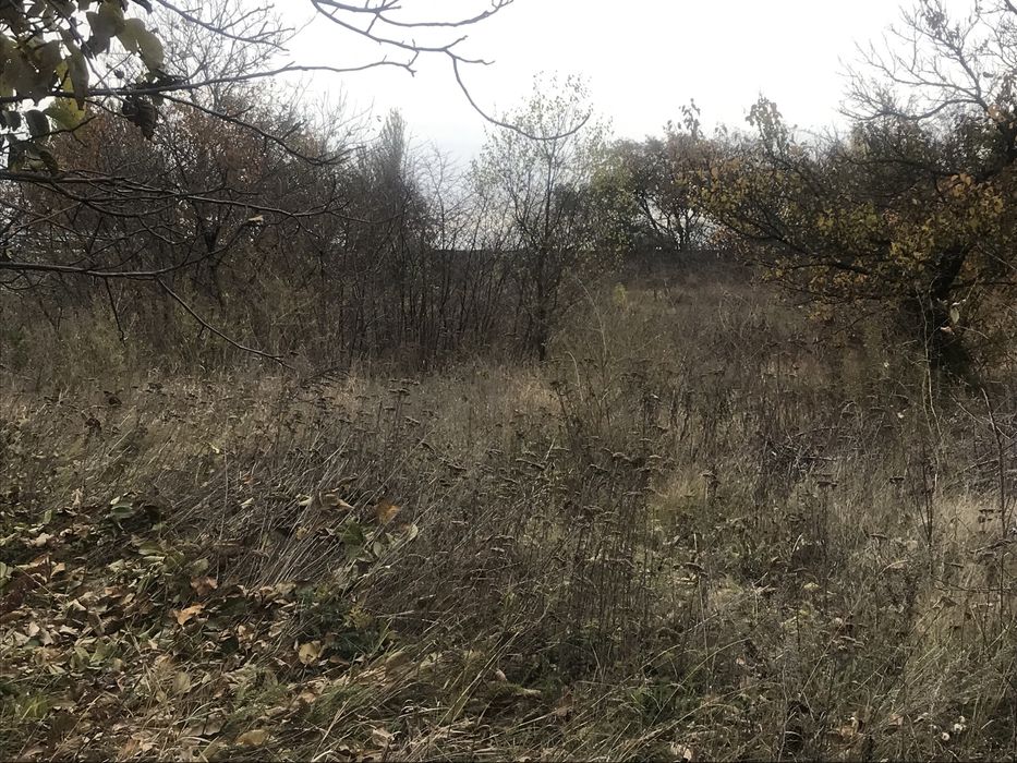 Земля 12 сот. Дача Ятрань.