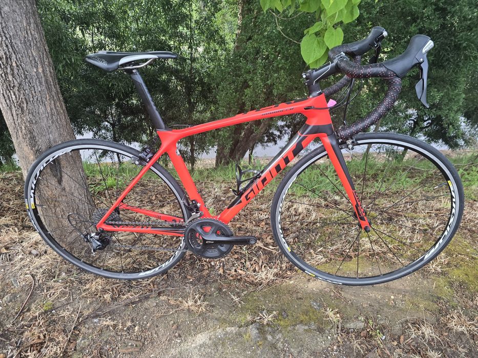 Giant tcr de carbono s 11x2v