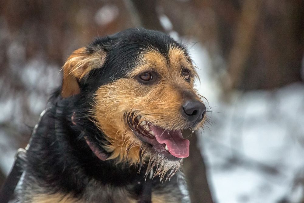 Pixel  ..czeka, czeka ,czeka i czeka