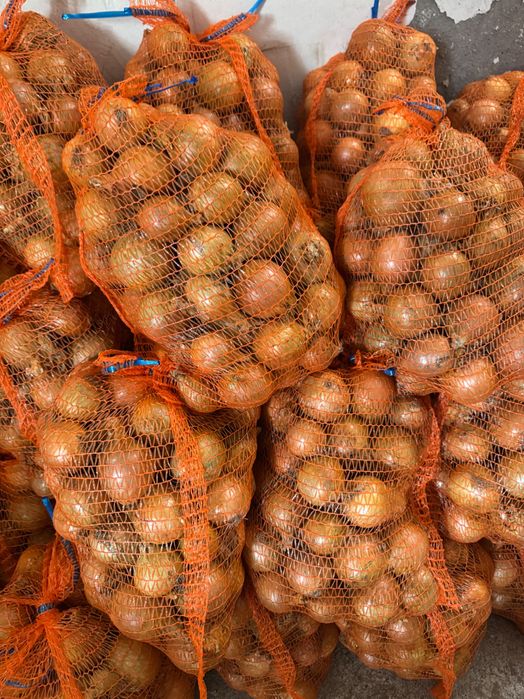 Sprzedam cebulę na worek