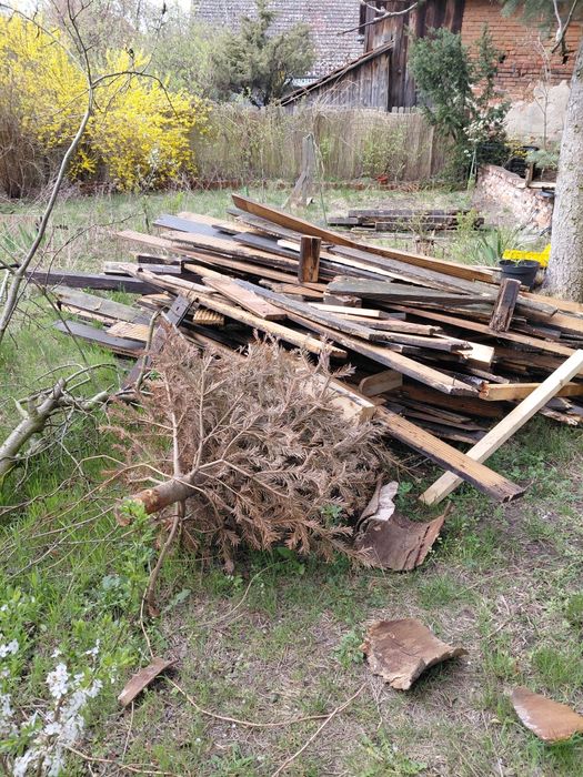 Deski oddam za darmo