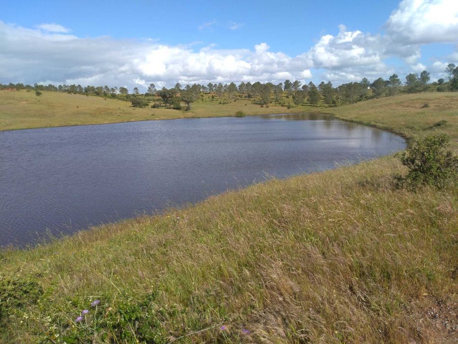 Herdade excelente para venda