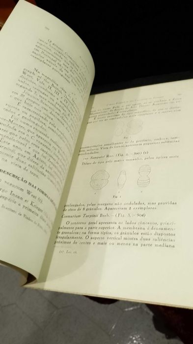 O grupo Turpinii do Gén. Cosmarium em Portugal - Arnaldo Rozeira