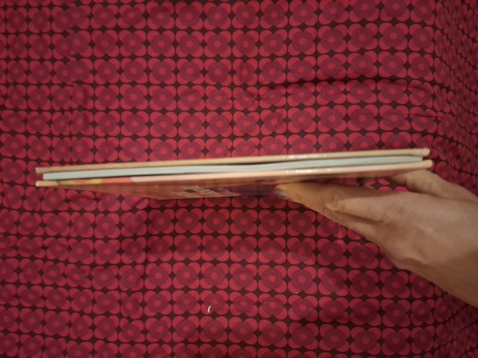 Gonçalo e a Bicharada... e outra história - António Torrado