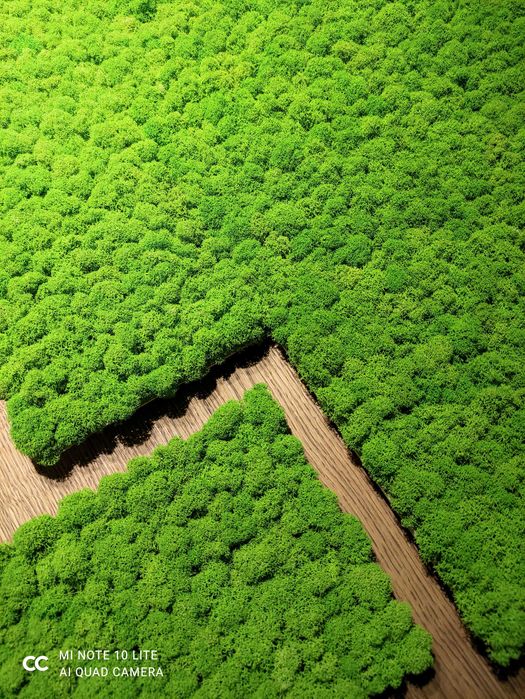 Panel Mech Chrobotek NA WYMIAR 1m2