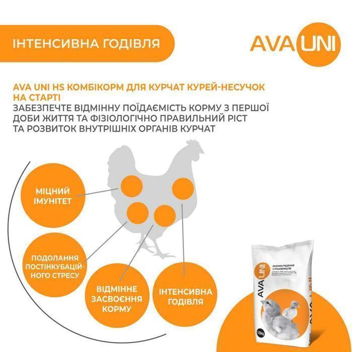 Стартовий комбікорм для курчат курей несучок AVA UNI HS