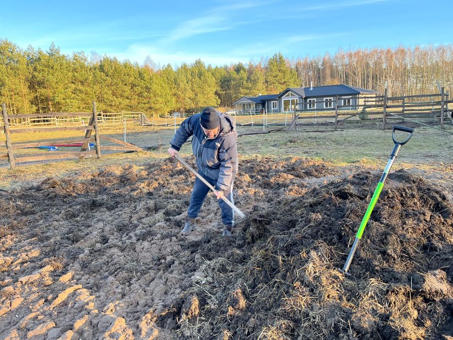 Obornik koński – kilka ton, bardzo dobry nawóz do ogrodu