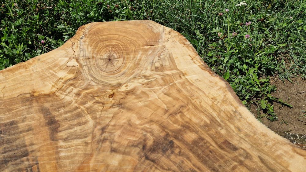 Topola plastry krążki live edge żywica PIĘKNE USŁOJENIE