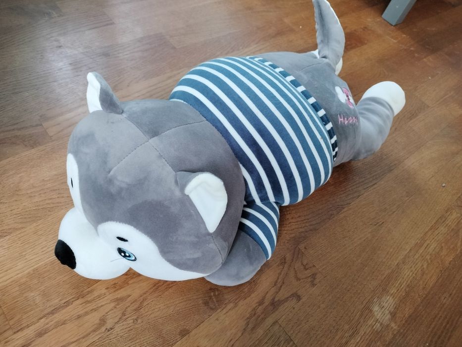 Piesek Husky maskotka + kocyk  poduszka