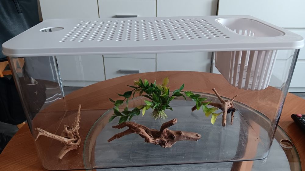 Sprzedam plastikowe akwarium/terrarium. Nowe