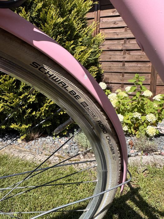 Rower damka pegasus shimano nexus