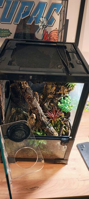 Sprzedam kompletne terrarium 30x30x45