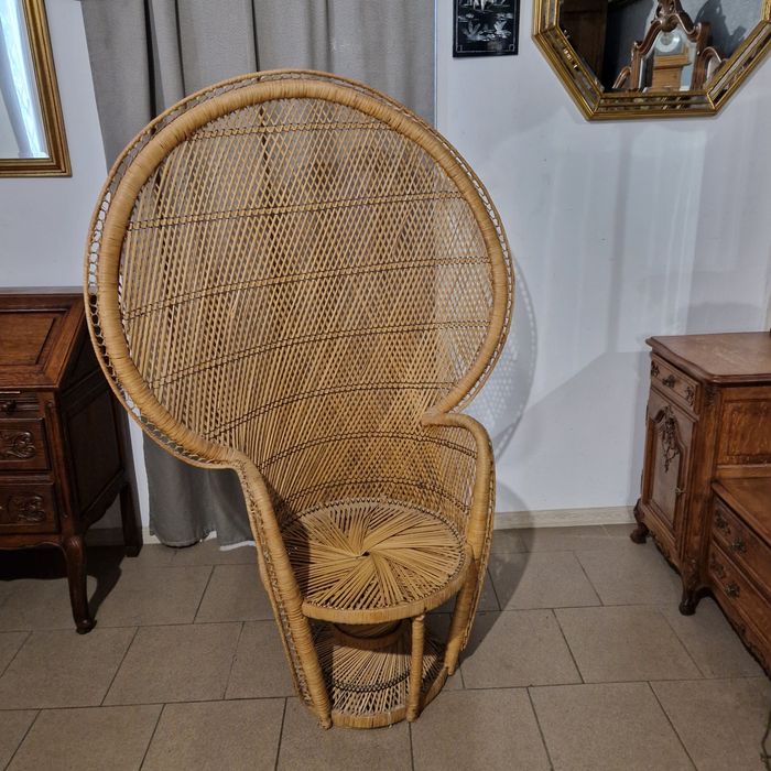 Piękny stylowy fotel rattanowy Paw