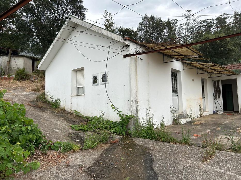 Casa T2 + terreno (5000m2)