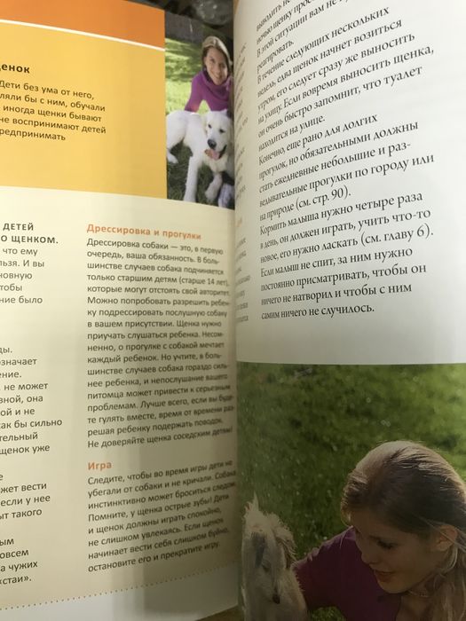 Моя собака
