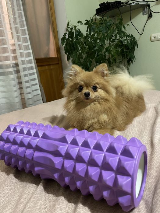 Массажний фітнес ролик у гарному стані