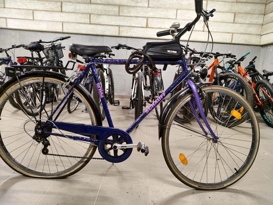 Rower męski Schauff Profistyle 26”