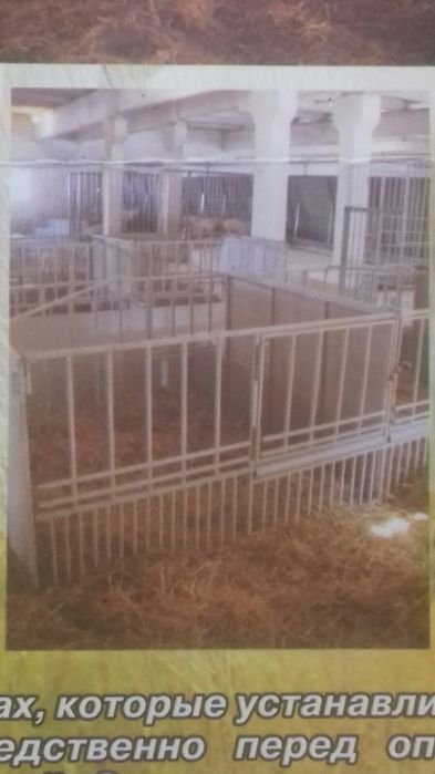 Продам станки для свиноматок