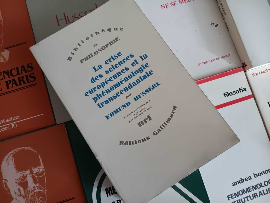 Husserl e Merleau-Ponty Livros Desde 5€