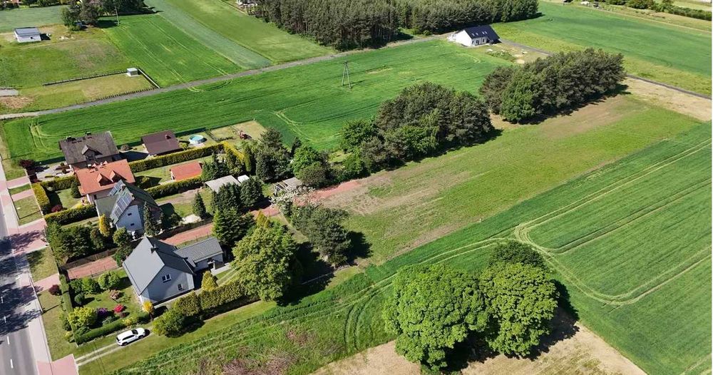 Działka budowlana przy urokliwym lasku. Wodzisław Śląski - Wilchwy - Widok 5