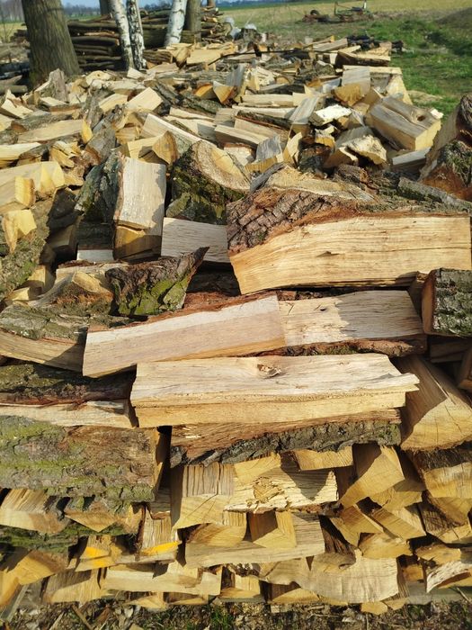 Drewno kominkowe dąb