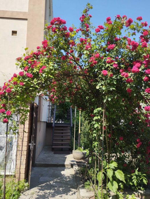 Продаж двоповерхового будинку для великої сім’ї в с. Хацьки