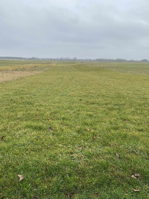 Sprzedam łąki w Ratajach