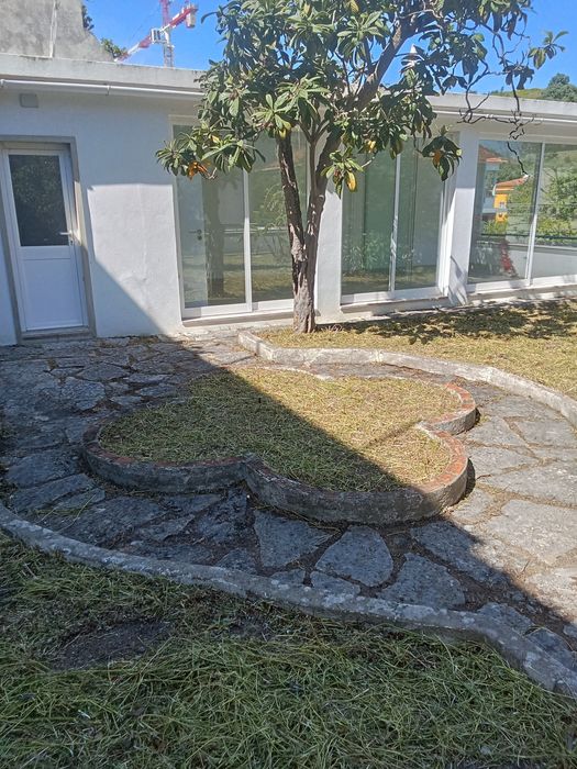 Limpeza de quintais e terrenos na zona de Lisboa