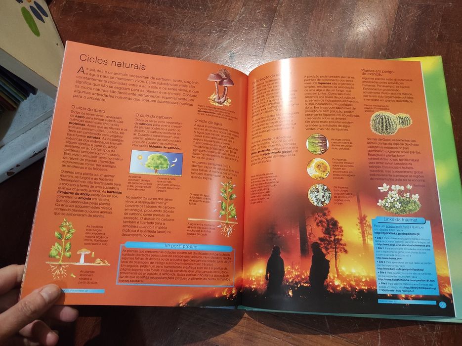 O mundo das plantas - enciclopédia da ciência
