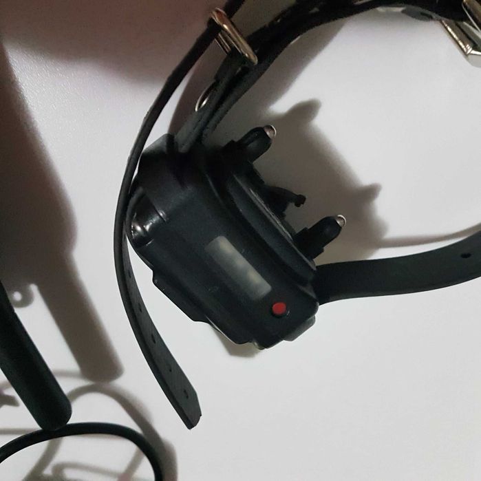 Obroża elektryczna Pro Educator PE-900  obroża treningowa dla psa