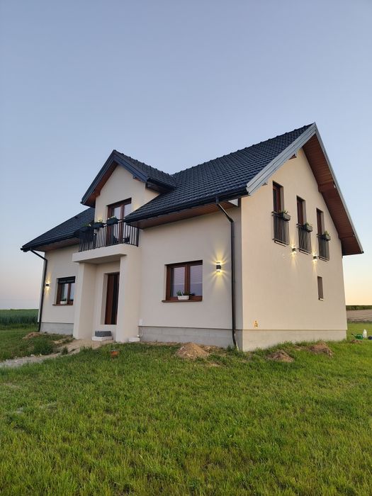 Elewacje i Docieplenia budyknów. (Możliwość samej struktury)