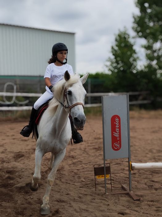 Escola de equitação