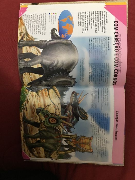 Vendo enciclopédia por imagens "A classe Dinossauros e a Pré-História"