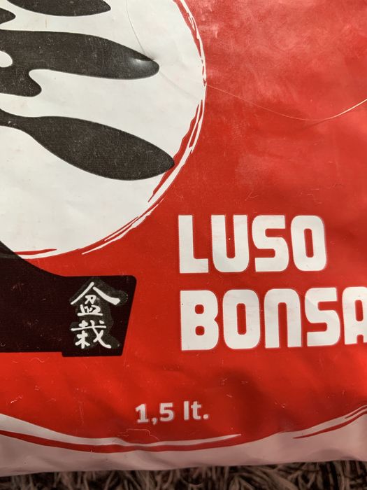 Saco de terra bonsai