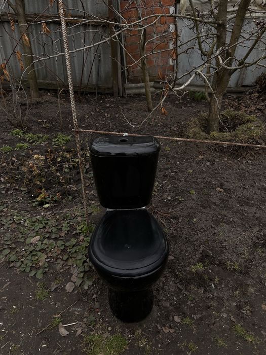 Унітаз чорного кольору