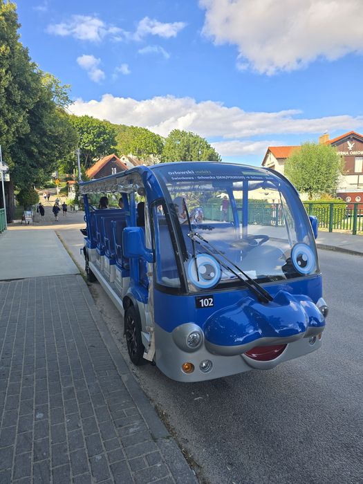 Delfin 2025 17 osobowy Eagle melex pojazd wolnobieżny  64 netto