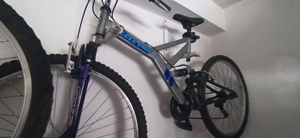 Lote de 3 Bicicletas (Gold Bike + Team) – Para Desocupar