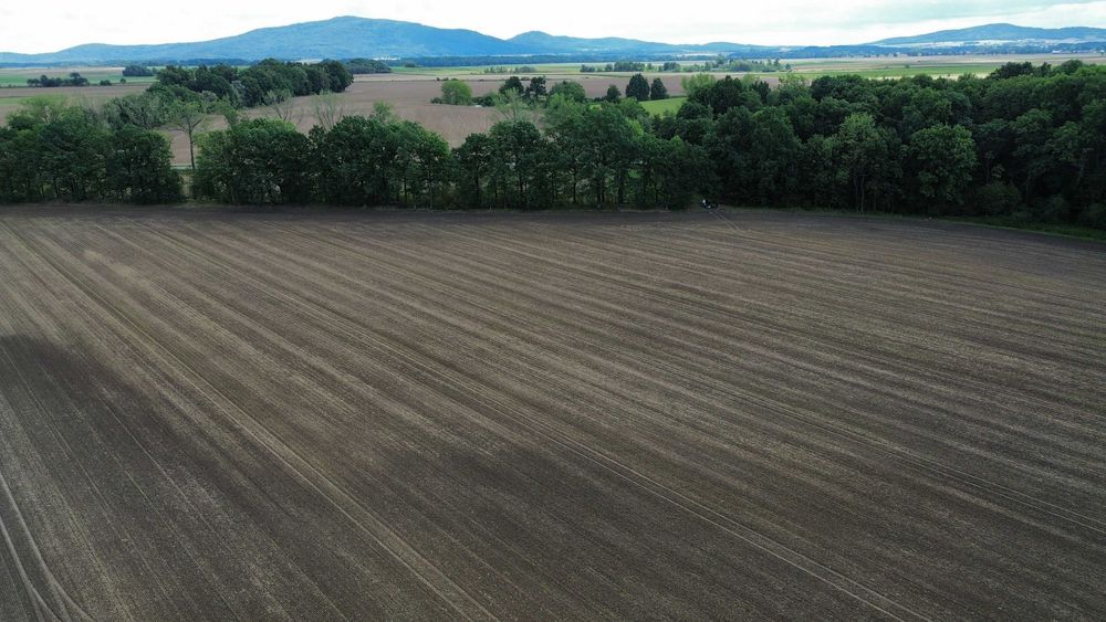 11,15 ha gruntów rolnych | RII–RIIIb | Krasków | w ciągłej uprawie