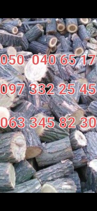 Дрова Дуб Ясень Акация