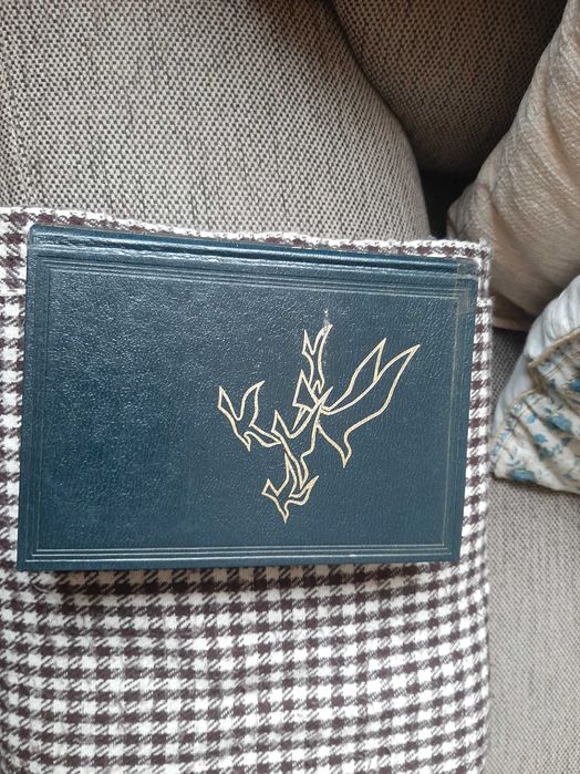 Guia Prático Educação.